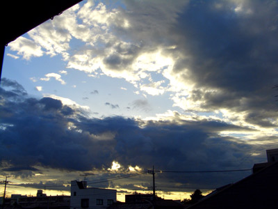 䕗ĂƖʔ󂪌܂